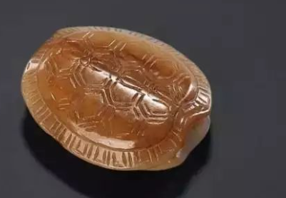ѧͽγ̽