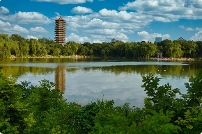 EDPܲްࡪ׿Խҵļѡ