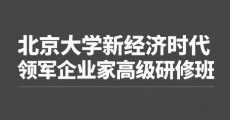 2025北大新经济企业家班精选