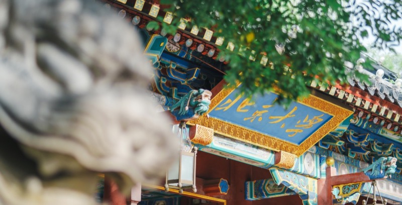 ������ѧ���̹�����4�º��Ŀγ̣���ҵ���ɷ��շ���